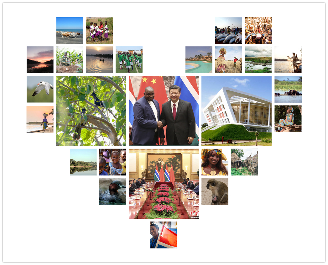 Gambia 6.jpg